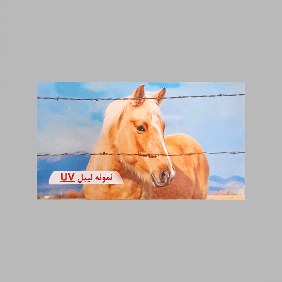 لیبل کاغذی با روکش UV — تصویر ۶