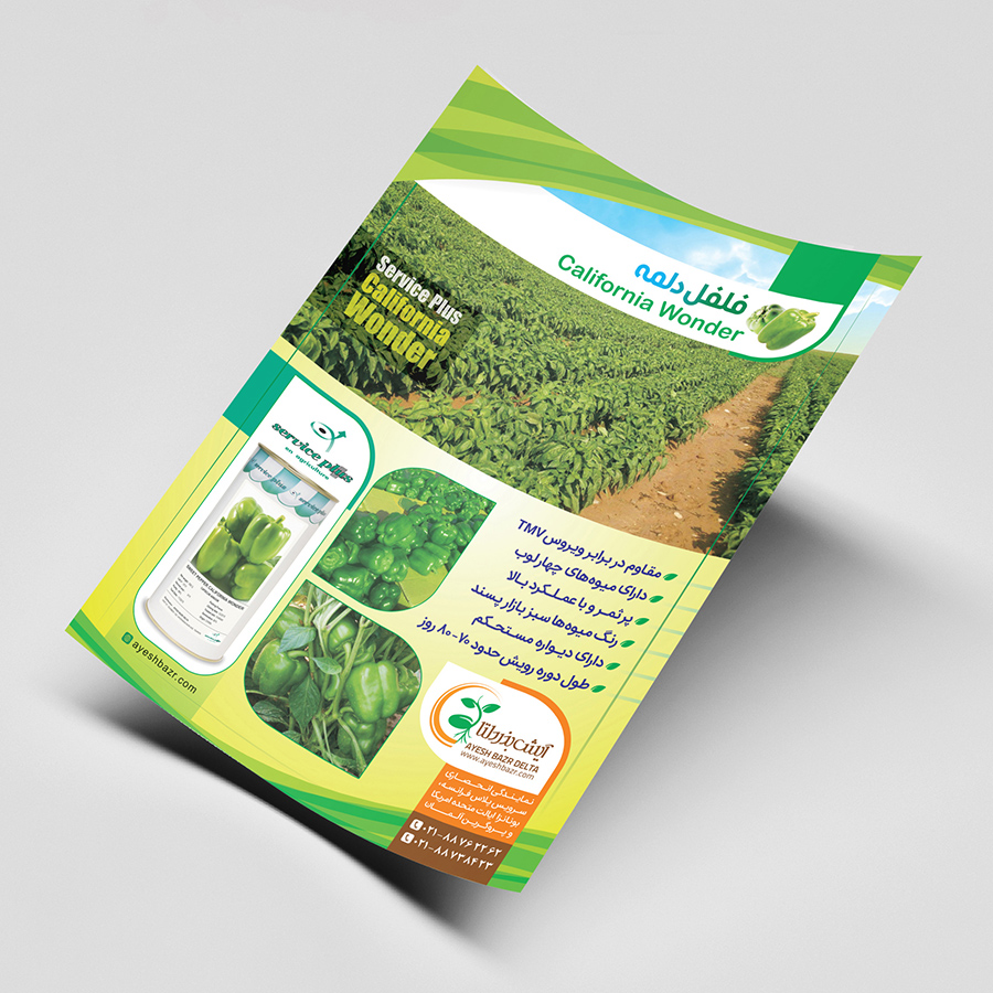 تراکت B5 گلاسه 135 گرم